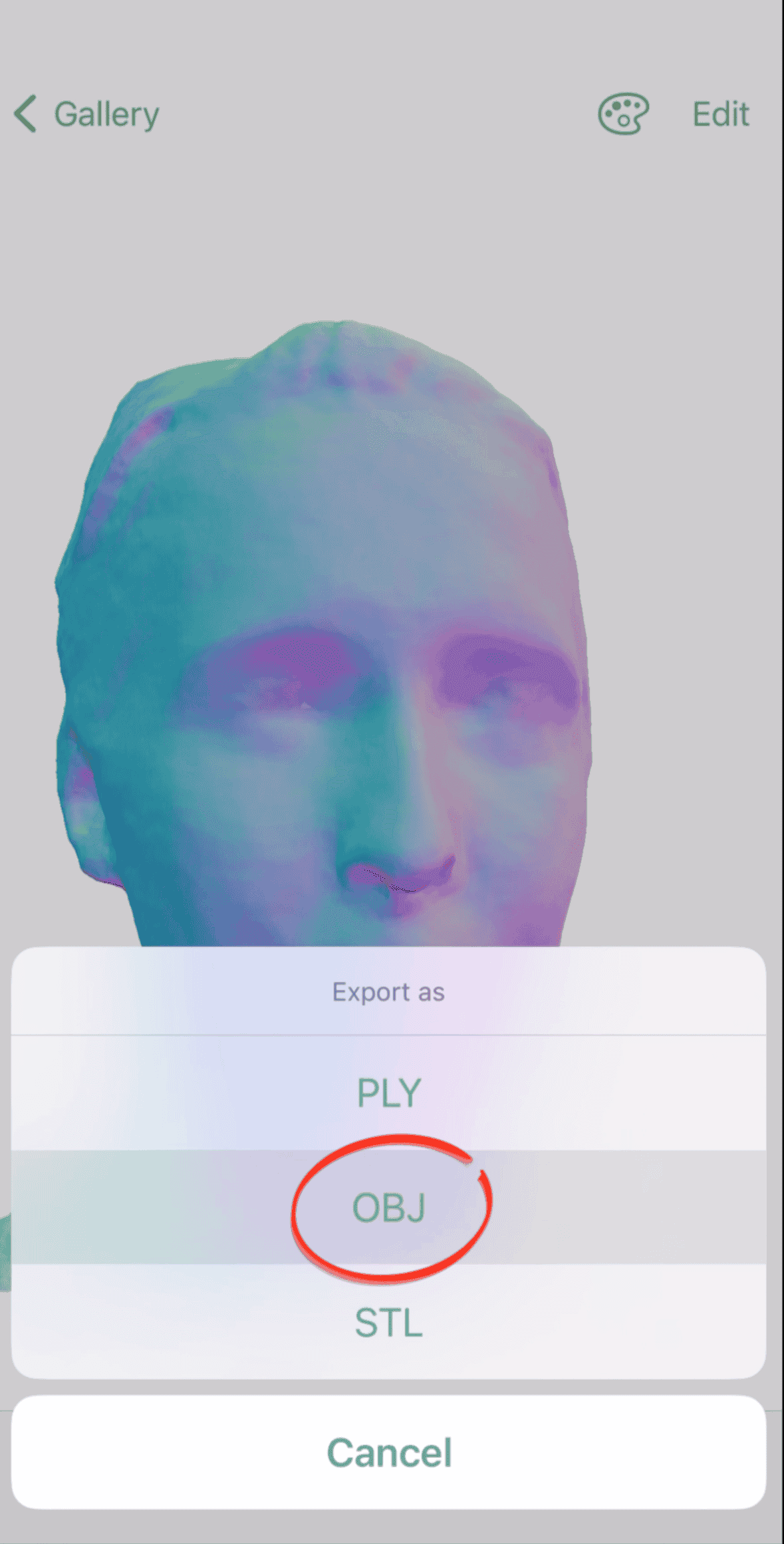 Choose OBJ as the file format